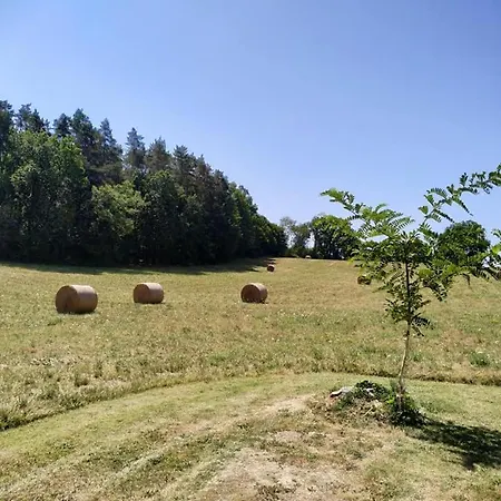 Acacia Au Coeur Du Triangle D'or En Dordogne